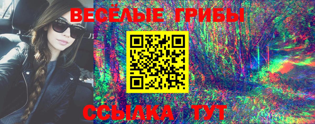 Галлюциногенные грибы прущие грибы  Вход с VPN  Ревда  Галлюциногенные грибы ЛСД 