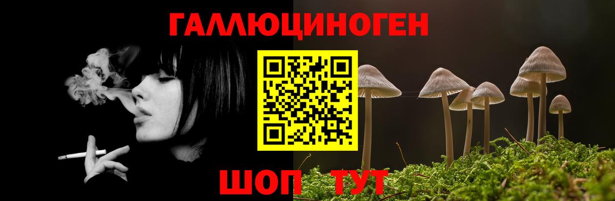 Псилоцибиновые грибы GOLDEN TEACHER Ревда