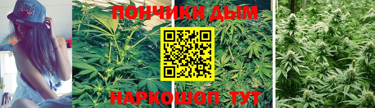Конопля гибрид Ревда